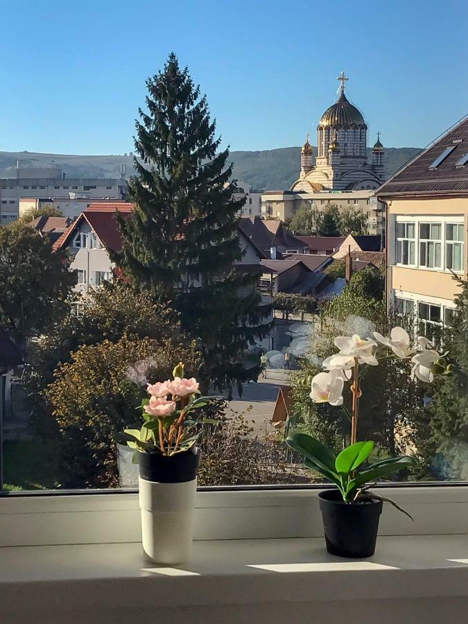 Davcom Studio Făgăraş Extérieur photo